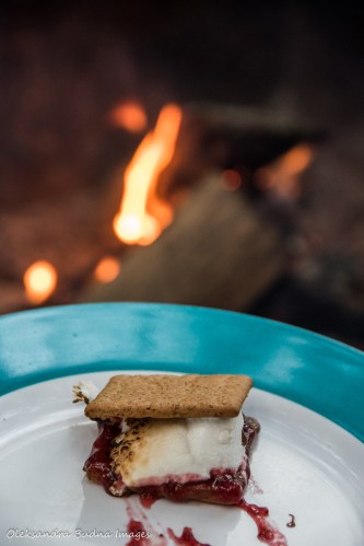 s'mores