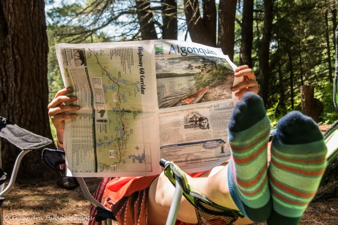 reading Algonquin Newsletter