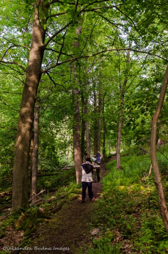 hiking Bruce Trail near Hamilton