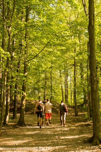hiking Bruce Trail near Hamilton