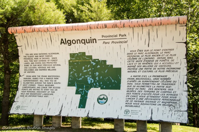 Algonquin Provincial Park sign