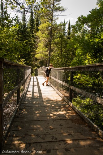 bridge over Madawaska River in Algonquin