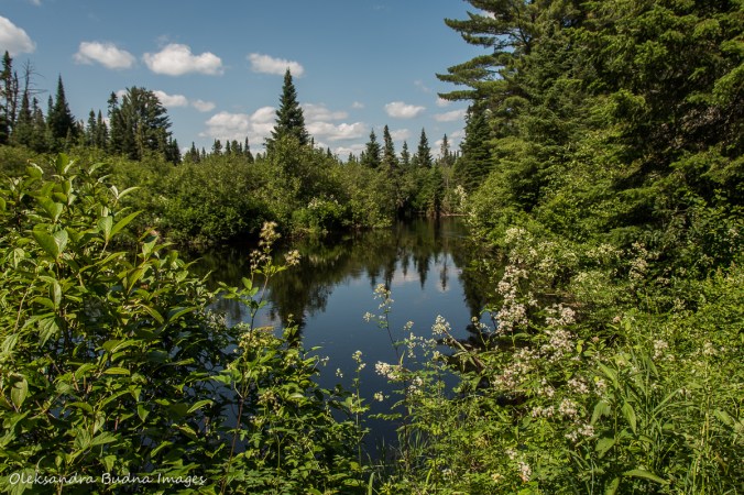 Madawaska River in Algonquin