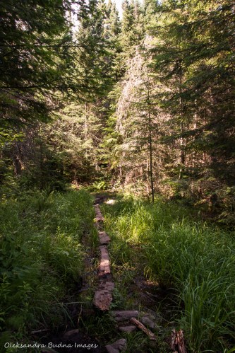 Highland Trail in Algonquin
