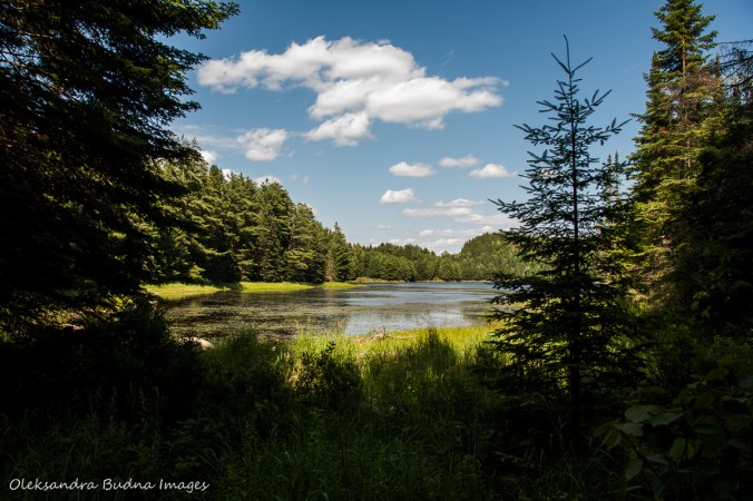 View of Sterling Lake in Algonquin