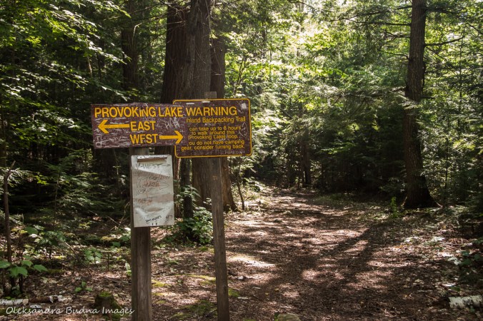 Provoking East/west sign on Highlands trail in algonquin
