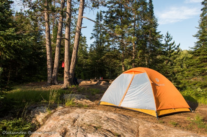 tent on Faya Lake Campsite in Algonquin