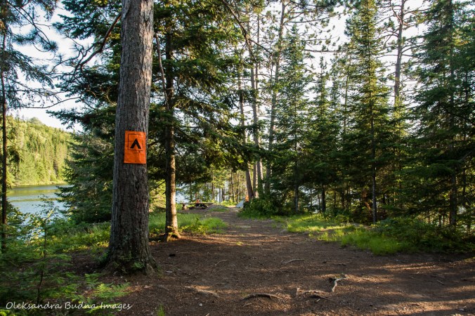 Faya Lake Campsite along Highland Trail in Algonquin