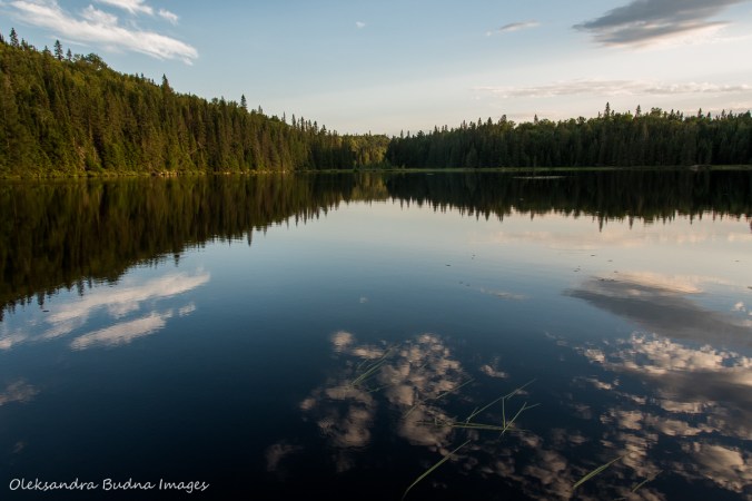 Faya Lake in Algonquin