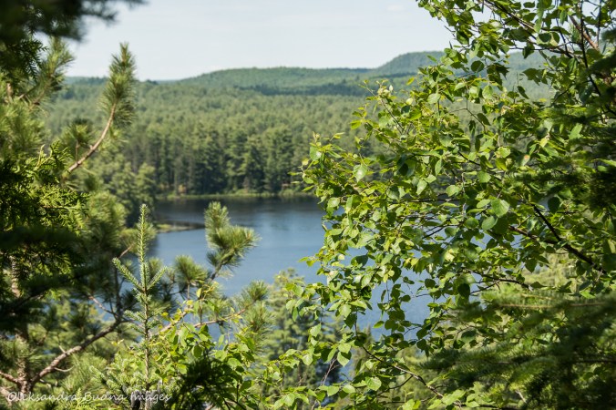 view of Mew Lake from Apgonquin Highlands Trail in Algonquin