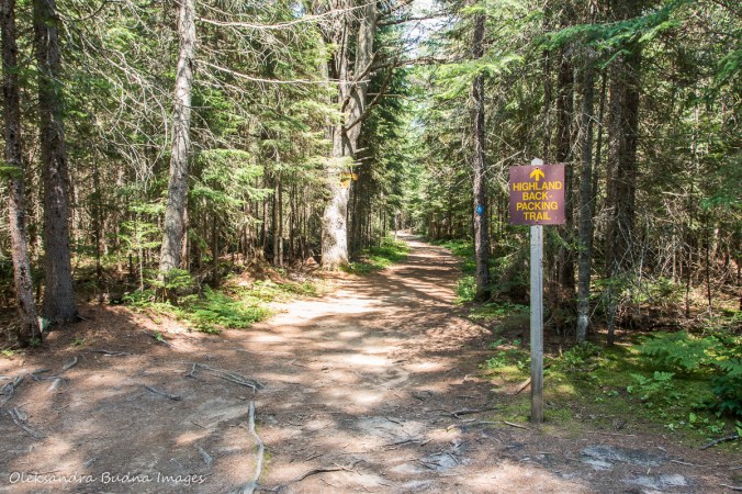HIghlands Blackpacking trail sign in algonquin