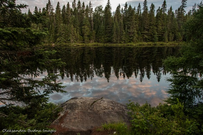 morning on Faya Lake in Algonquin