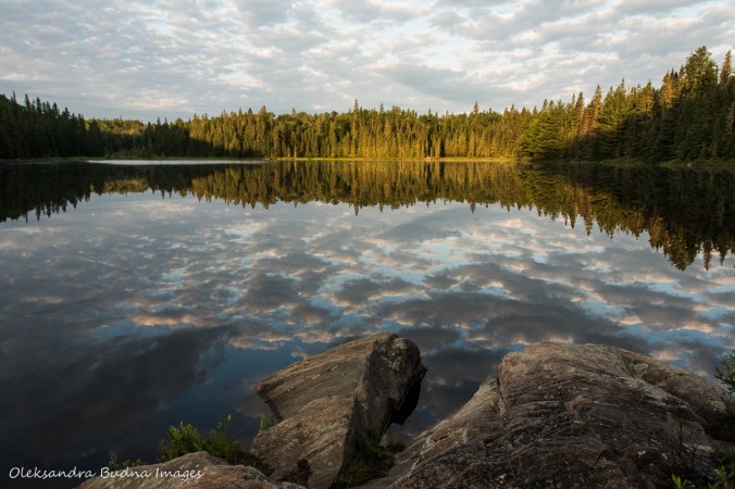 morning on Faya Lake in Algonquin