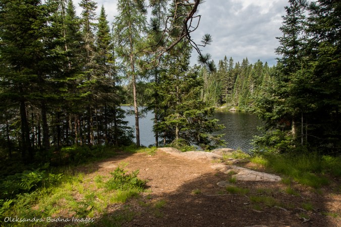 Faya Lake campsite along Highland Trail in Algonquin