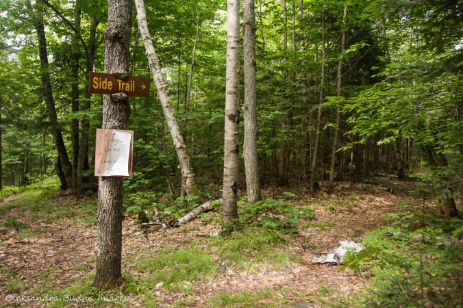 side trail to Faya Lake on Highland Trail in Algonquin