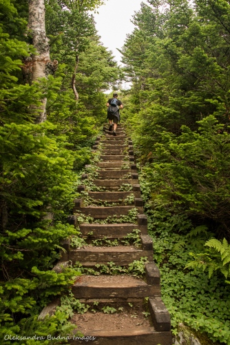 stairs on Gros Morne Mountain Trail Newfoundland