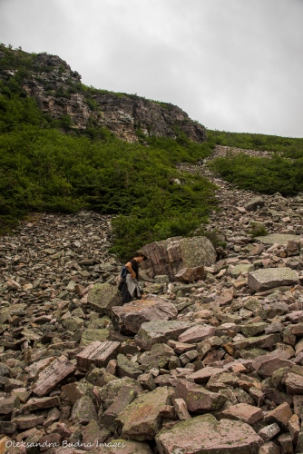 hiking up Gros Morne Mountain trail in Newfoundland