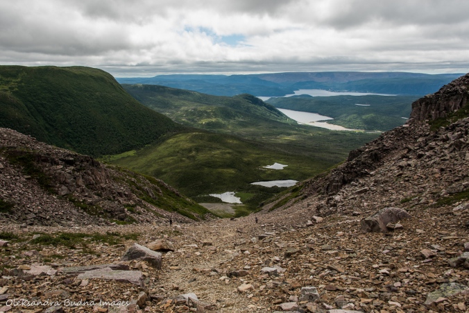 view from Gros Morne Mountain in newfoundland