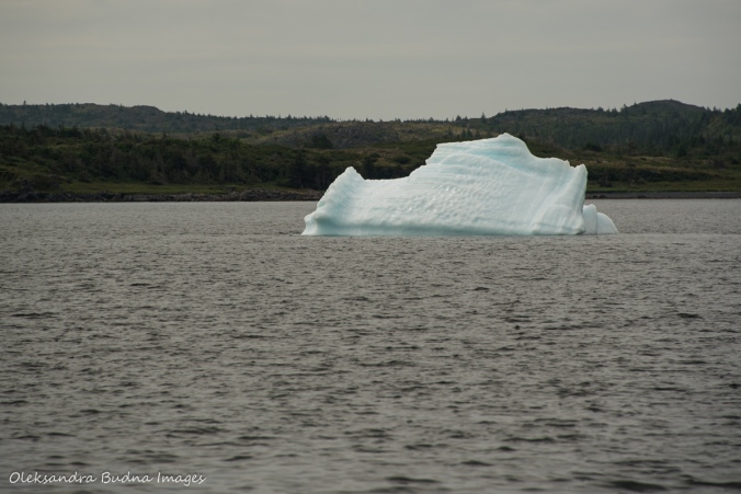 iceberg in St. Anthony in Newfoundland
