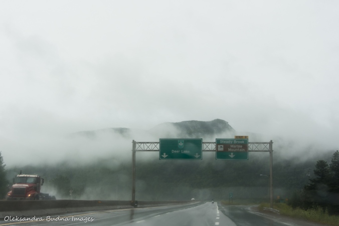 fog on the road in Newfoundland