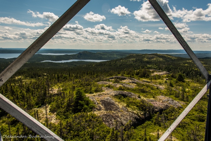 view from Ochre Hill in Terra NOva lookout tower in Newfoundland