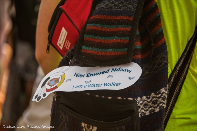 Great Lakes Water Walk