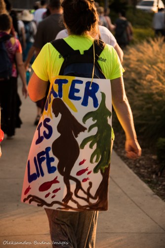 Water is Life sign Great Lakes Water Walk