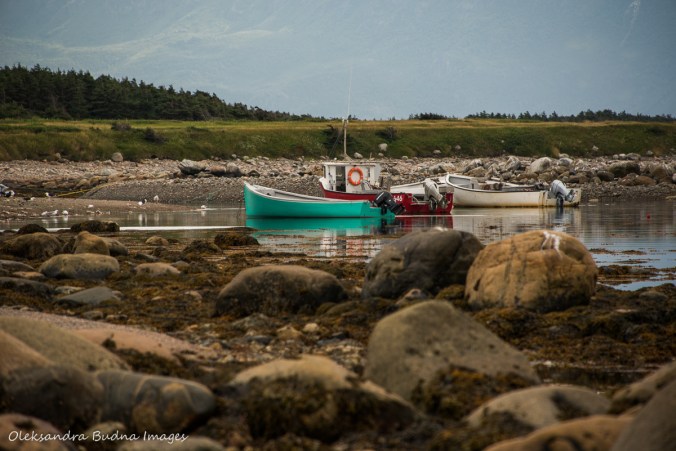 fishing village in newfoundland