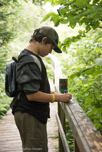 geocaching in Newfoundland