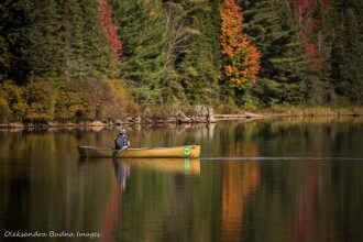 paddling on Joe Lake in Algonquin