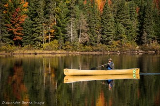 paddling on Joe Lake in Algonquin