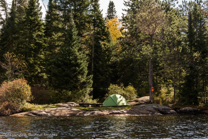 campsite on Little Joe/eastern arm in Algonquin