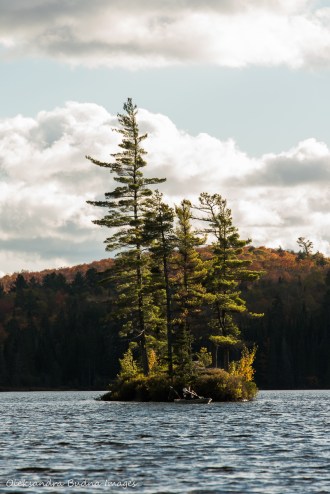 Tom Thompson Lake in Algonquin
