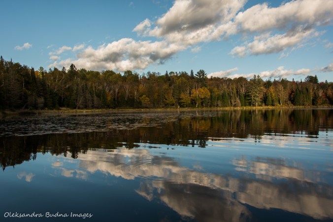 Tom Thompson Lake in Algonquin