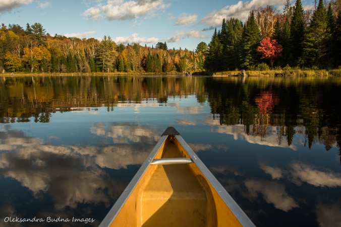 canoeing on Tom Thompson lake
