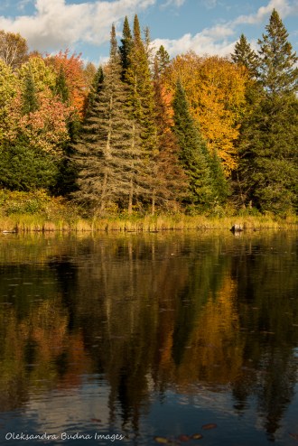 Tom Thompson Lake in Algonquin