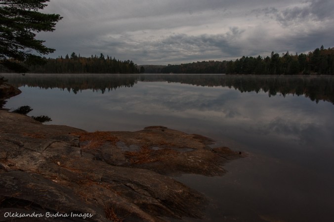 mornign on Joe Lake in Algonquin