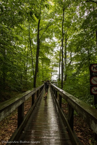 boardwalk near Pink Lake in Gatineau Park