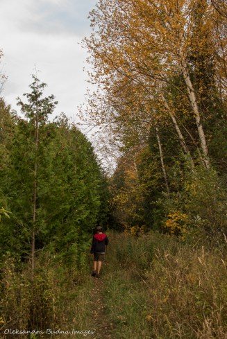 hiking Bruce Trail at Nottawasaga Bluffs Conservation Area