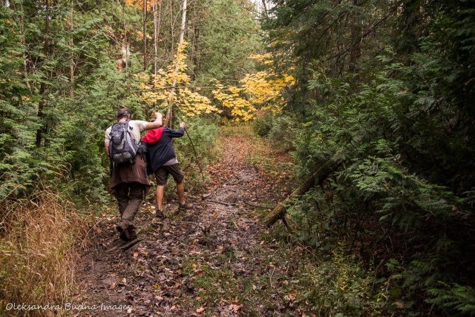hiking Bruce Trail at Nottawasaga Bluffs Conservation Area