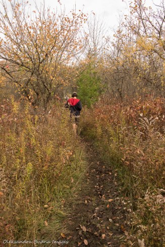hiking Bruce Trail at Nottawasaga Bluffs Conservation Area