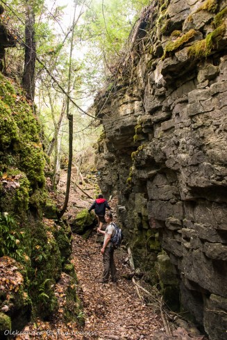 hiking Keyhole Trail at Nottawasaga Bluffs Conservation Area