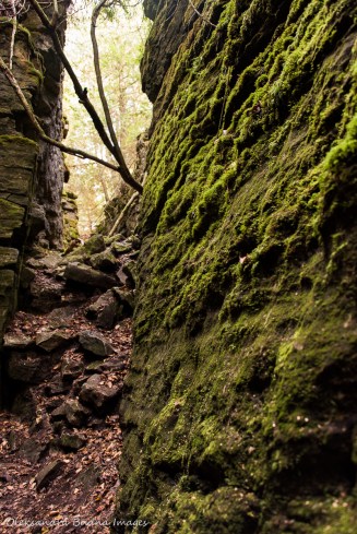 hiking Keyhole Trail at Nottawasaga Bluffs Conservation Area