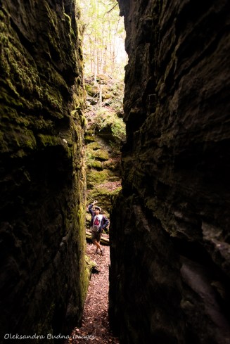 hiking Keyhole Trail at Nottawasaga Bluffs Conservation Area