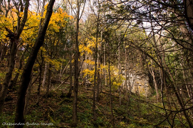 views along Bruce Trail at Nottawasaga Bluffs