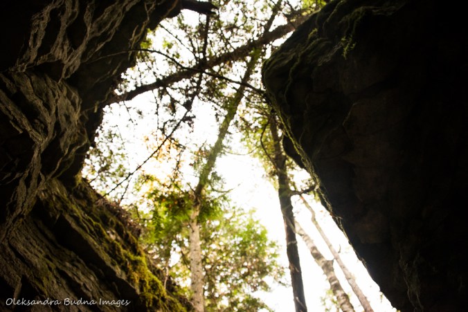 view from a crevice while hiking Keyhole Trail at Nottawasaga Bluffs Conservation Area