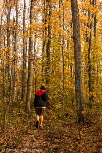 hiking Keyhole Trail at Nottawasaga Bluffs Conservation Area