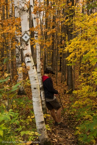 hiking Bruce Trail at Nottawasaga Bluffs Conservation Area