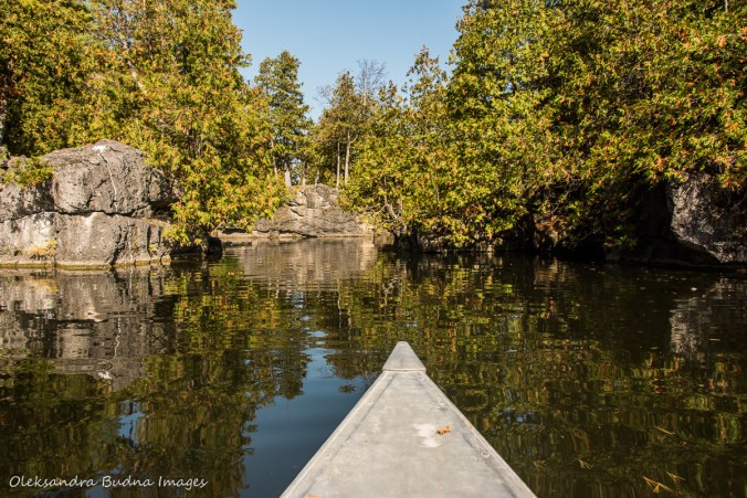 canoeing at Rockwood Conservation area