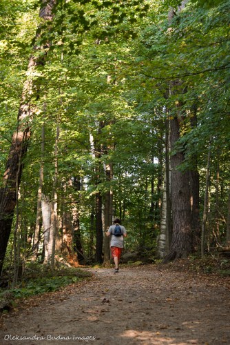hiking at Rockwood Conservation Area